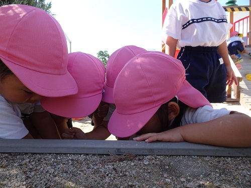 20211006165029.jpg 20211006165029.jpg