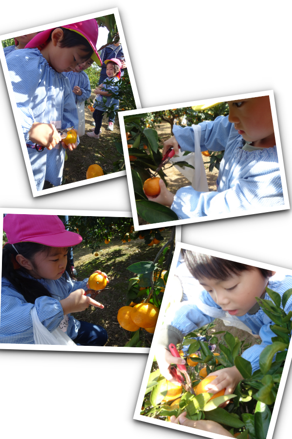 20211110153751.png 20211110153751.png