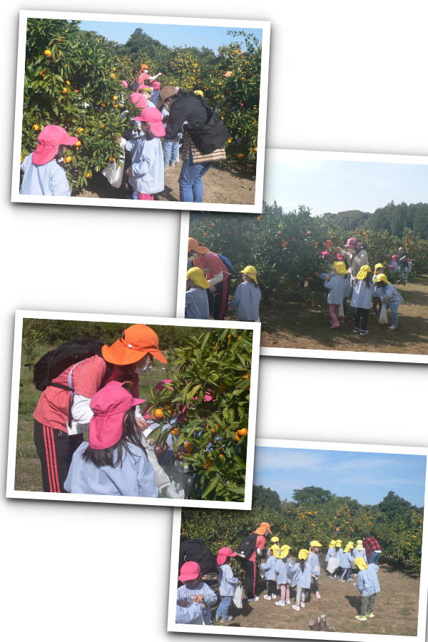 20211110153753.png 20211110153753.png