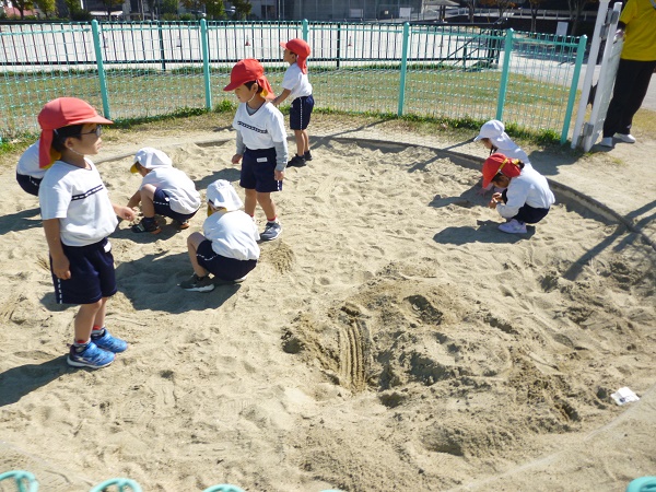 20211111171654.0.jpg 20211111171654.0.jpg