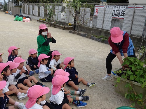 20211115162738.jpg 20211115162738.jpg