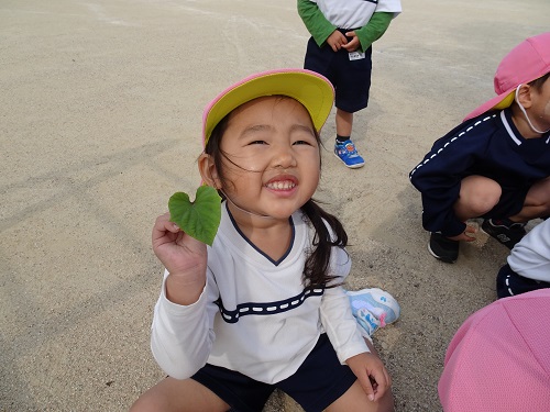 20211115162739.jpg 20211115162739.jpg