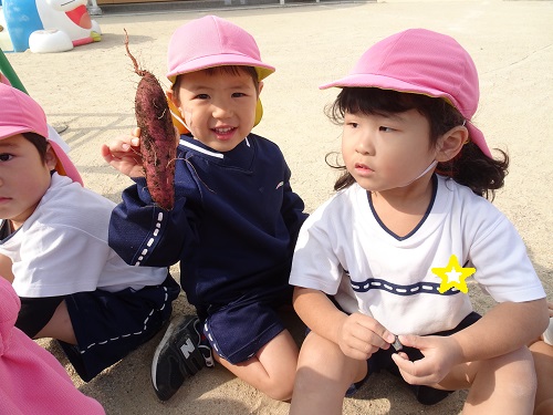 20211115162740.jpg 20211115162740.jpg