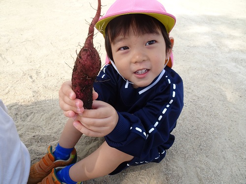 20211115162741.jpg 20211115162741.jpg