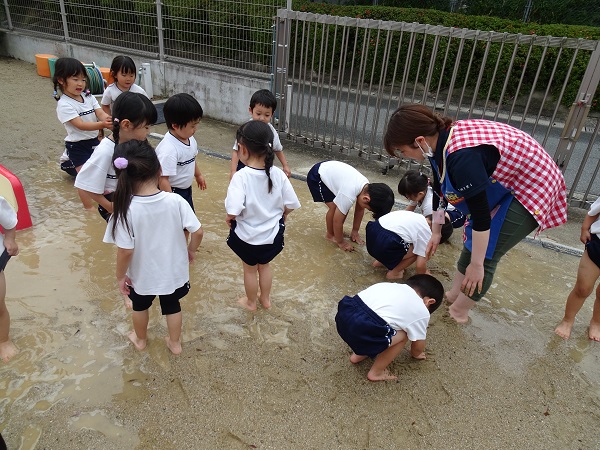 20210616151005.jpg 20210616151005.jpg