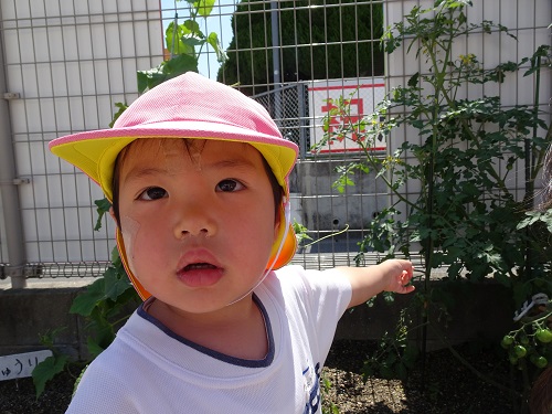 20210622155219.jpg 20210622155219.jpg