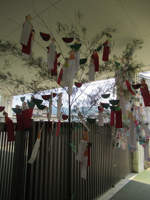 20210623163645.jpg 20210623163645.jpg