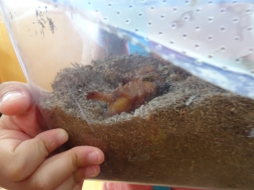 20210623170832.jpg 20210623170832.jpg