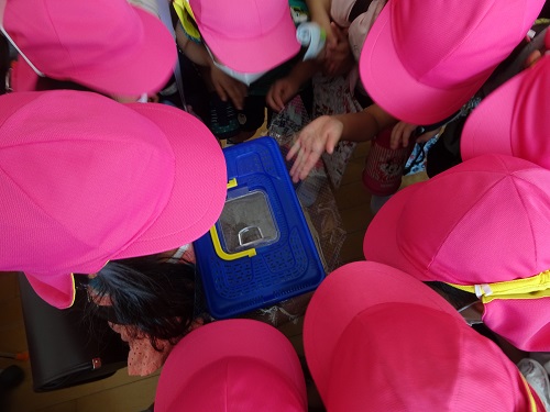 20210623170833.jpg 20210623170833.jpg