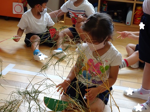 20210625160918.jpg 20210625160918.jpg