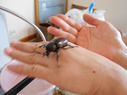 20210628162341.jpg 20210628162341.jpg