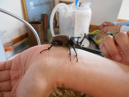 20210628162350.jpg 20210628162350.jpg