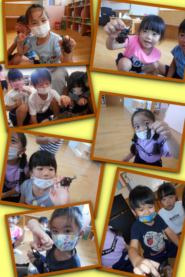 20210713160605.png 20210713160605.png