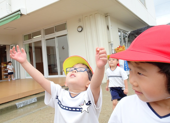 20210709125428.jpg 20210709125428.jpg